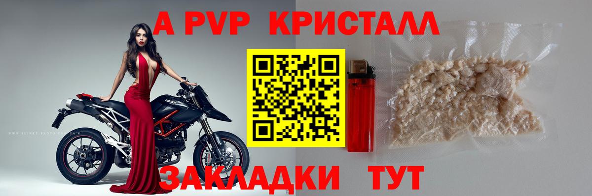 А ПВП СК Бийск