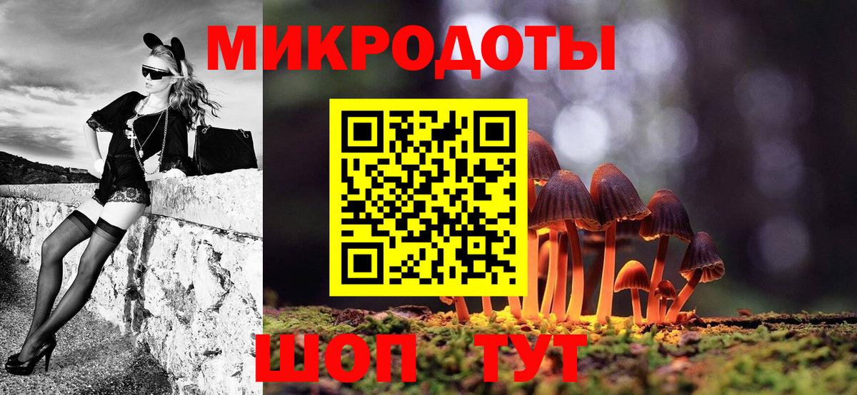Псилоцибиновые грибы мицелий Бийск